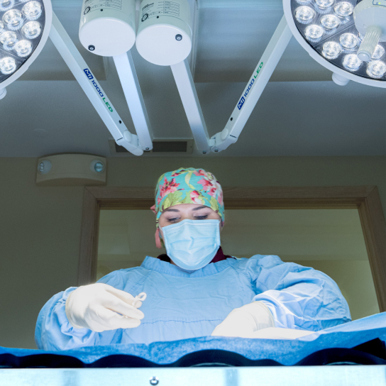 South Carolina Veterinary Specialists & Emergency Care