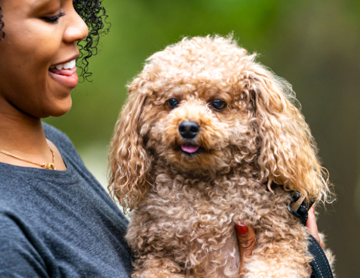 Vision Pet Imaging & Illumipet