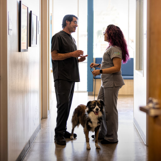Canyon Creek Pet Hospital